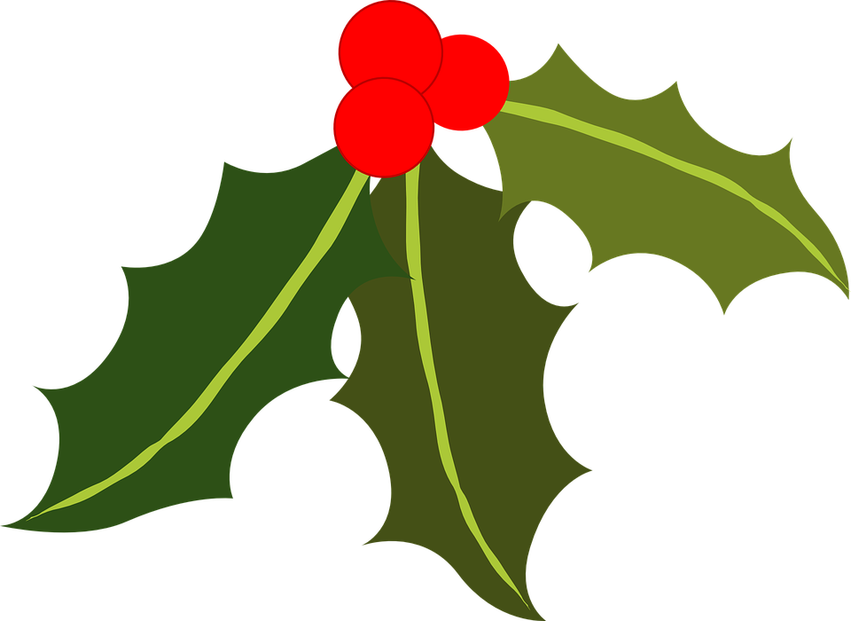 Holly Clip Art (960x700)
