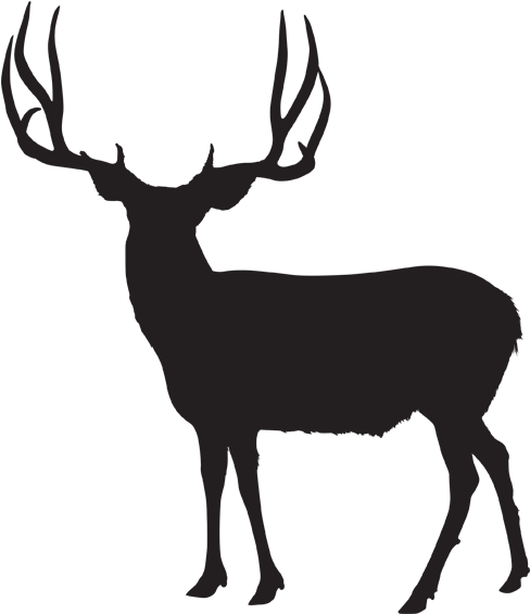 Hunts Â€“ Antler Canyon Outfitters - Utah Elk Unit Central Mountains Manti (600x600)