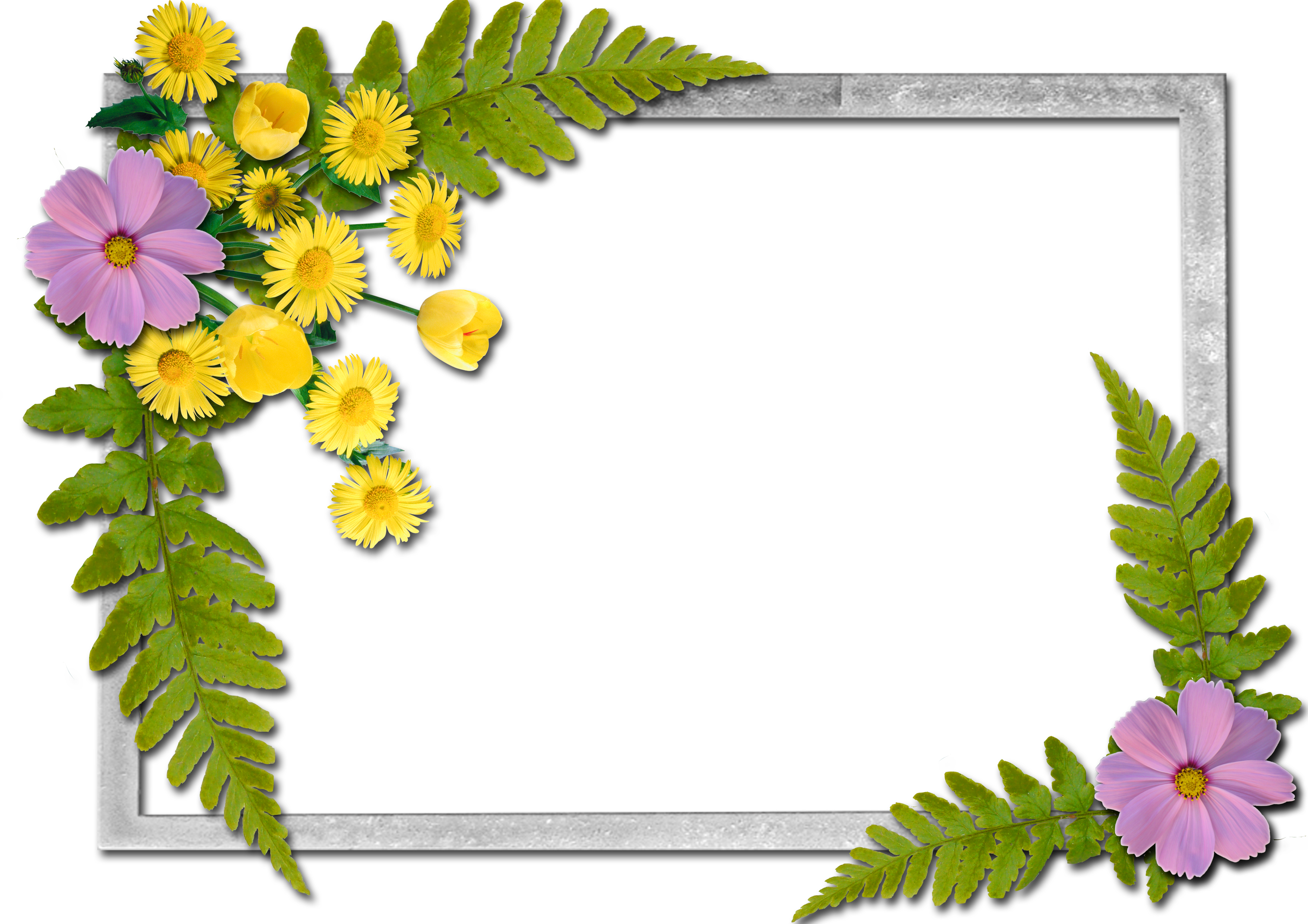 Writing Paper - Flowers Frames (3510x2480)