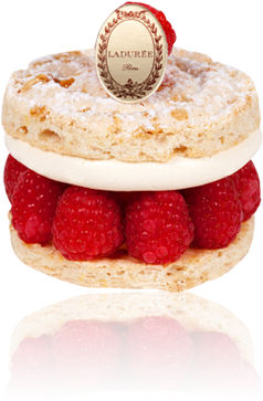 Teeth - Ladurée (384x462)