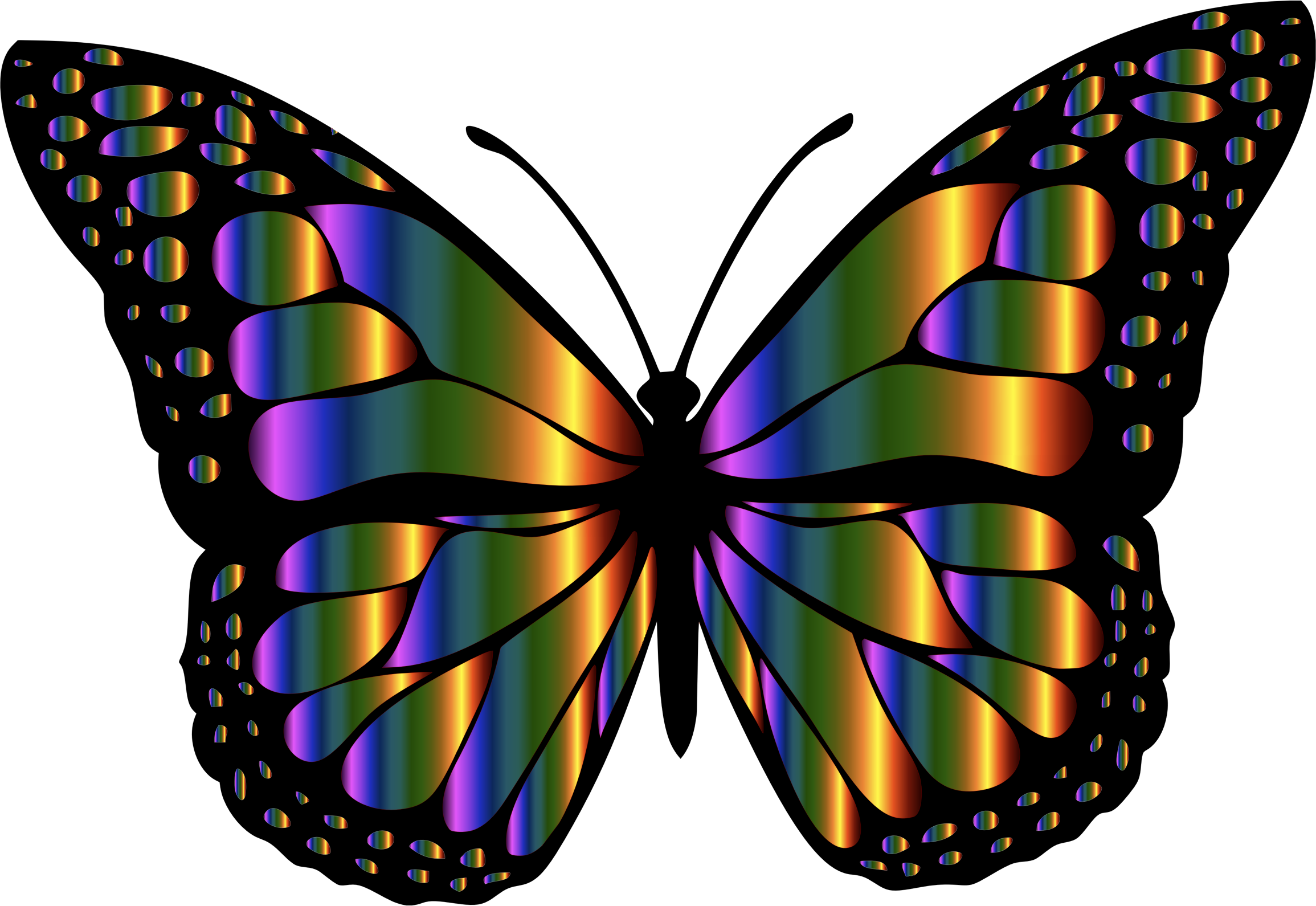 Big Image - Butterfly Pdf (2310x1590)