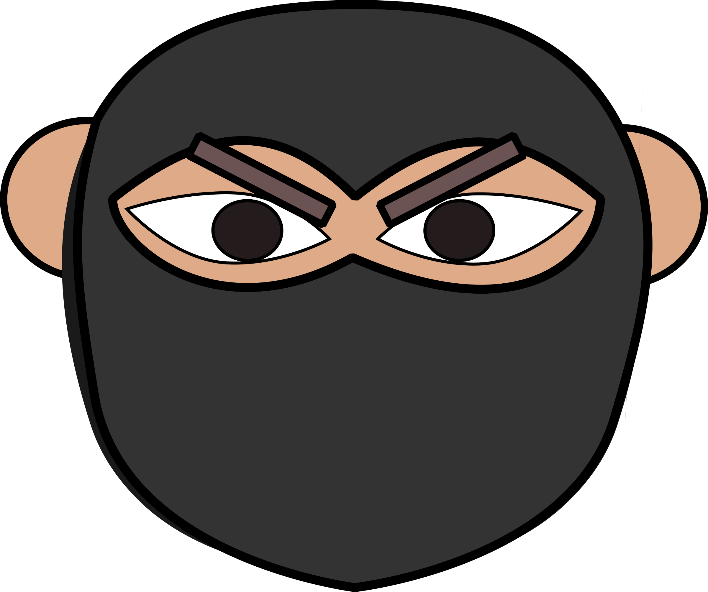 Ninja 2 - Cabeza De Ninja (2400x2008)