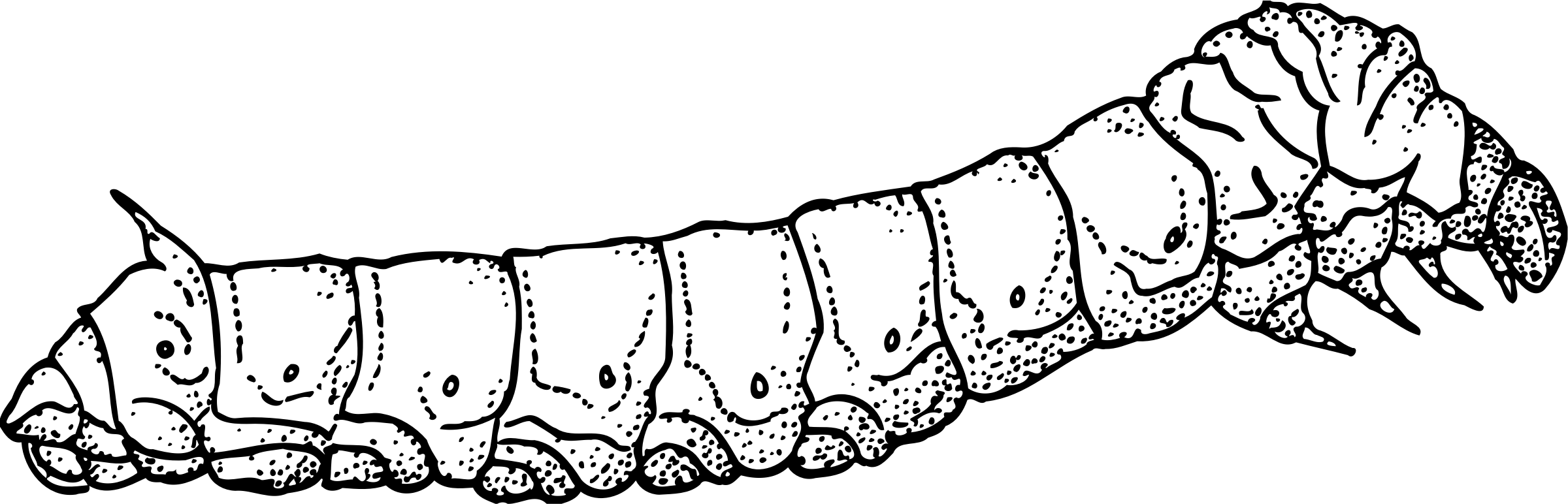 Big Image - Silkworm Black And White (2400x772)
