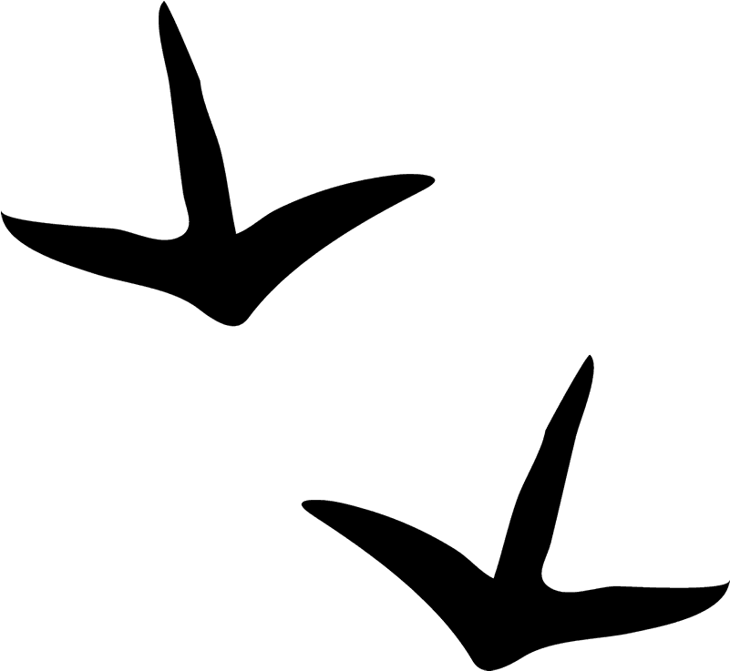 Heron Tracks Rubber Stamp - Loon (800x800)