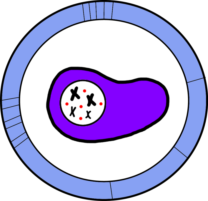 Interlab Study - Interlab Study (707x684)