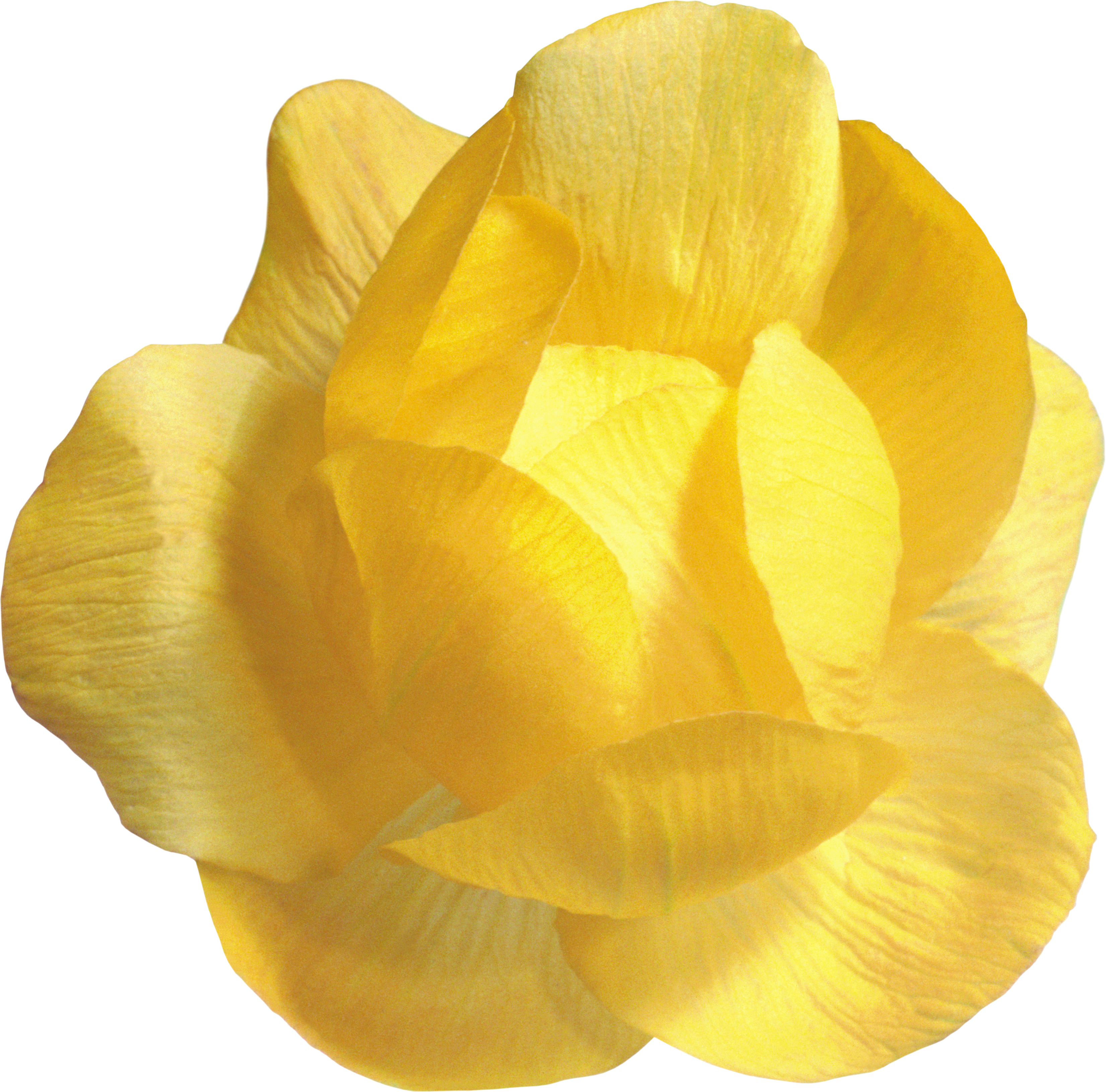 Картинка В Png - Yellow (3302x3260)