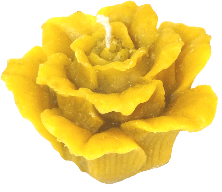 Свеча Из Натурального Пчелиного Воска - Yellow Rose With Transparent Background (1024x750)