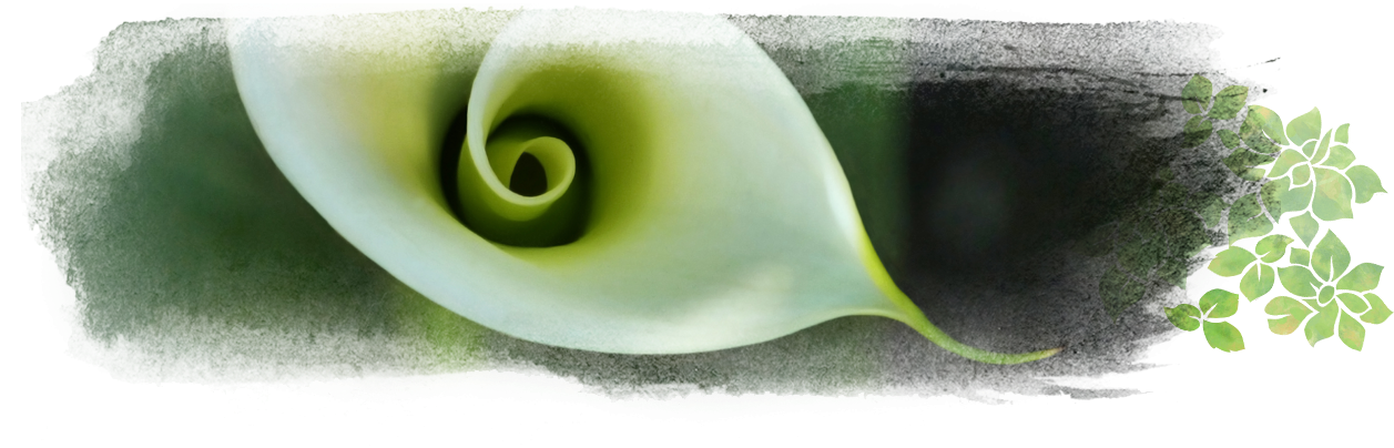 What Do I Do - Macro Photography (1300x425)