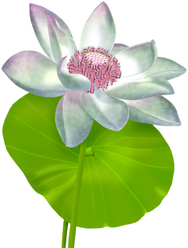 Green (379x500)