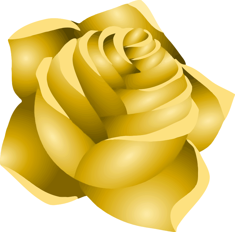 Medium Image - Clip Art (800x790)