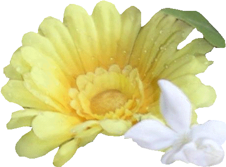 Silk (479x354)
