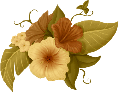 Tubes Fleurs - Gif Flor (399x310)