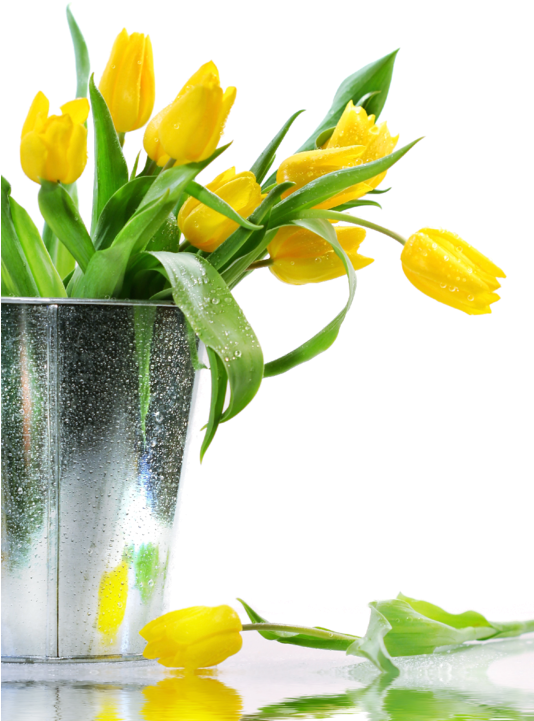 Nokia Wallpaper Flower (533x800)
