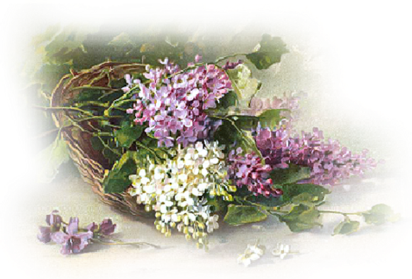 Lilas - Belle Image De Printemps (581x393)