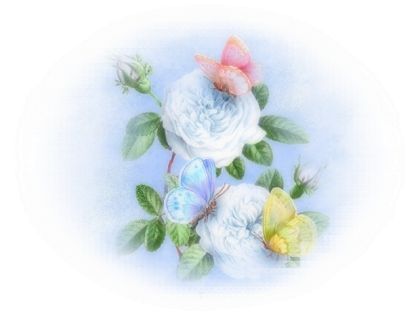 Tubes Fleurs - Garden Roses (600x450)
