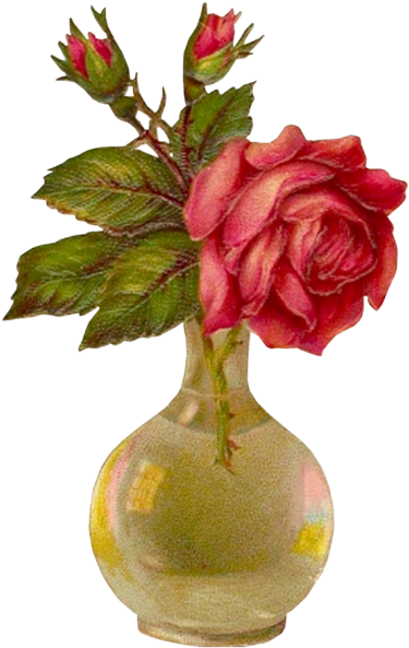 Tubes Fleurs - Garden Roses (383x600)