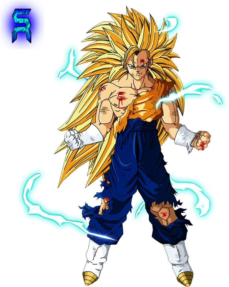 Vegito 3 (900x1117)