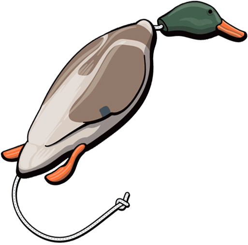 Duck-call Cliparts - Leash (513x505)