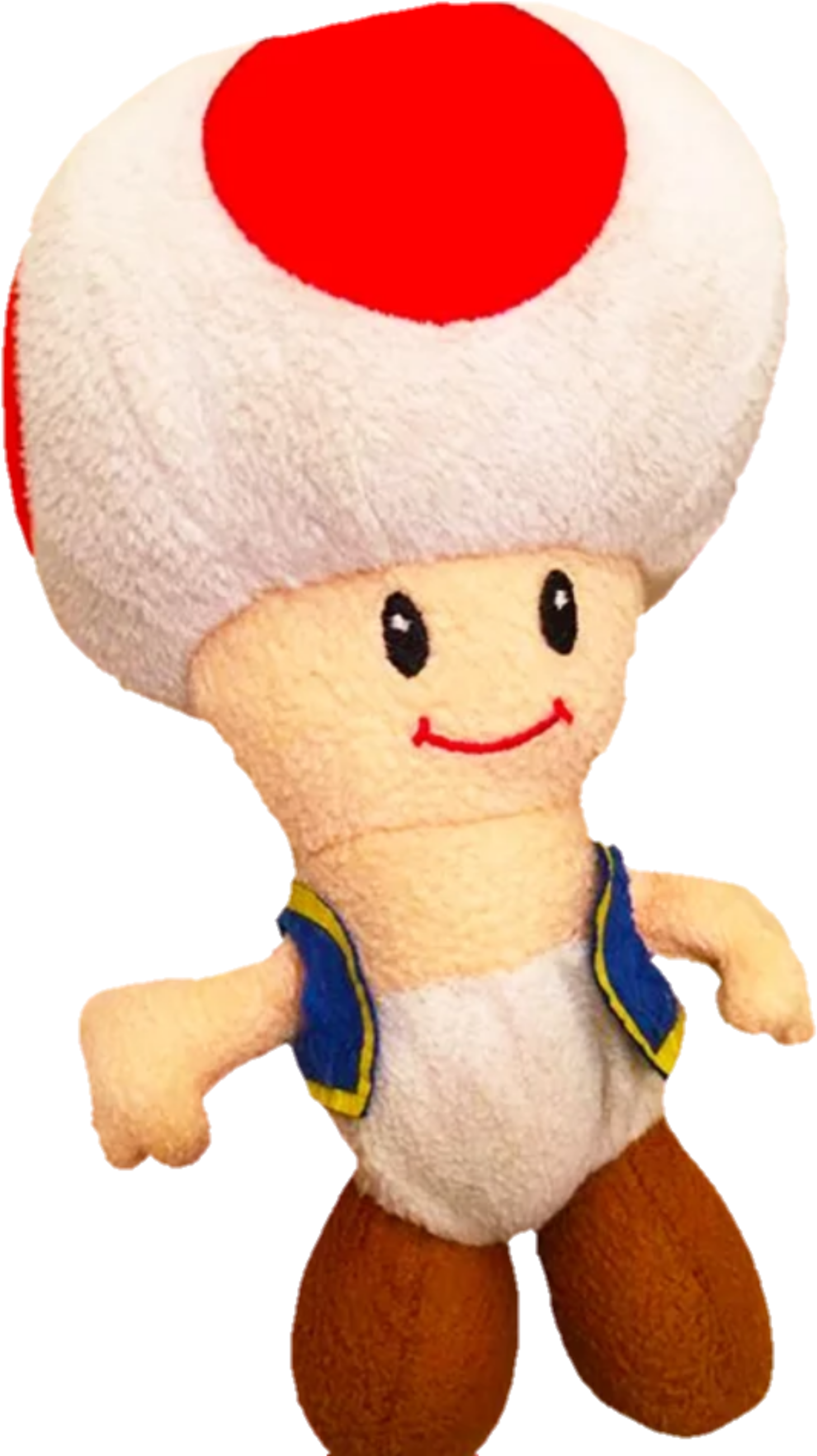 Toad - Supermariologan Toad (1476x2621)