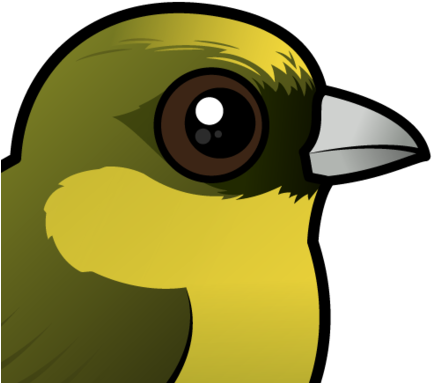 About The Akekee - ‘akeke‘e (440x440)