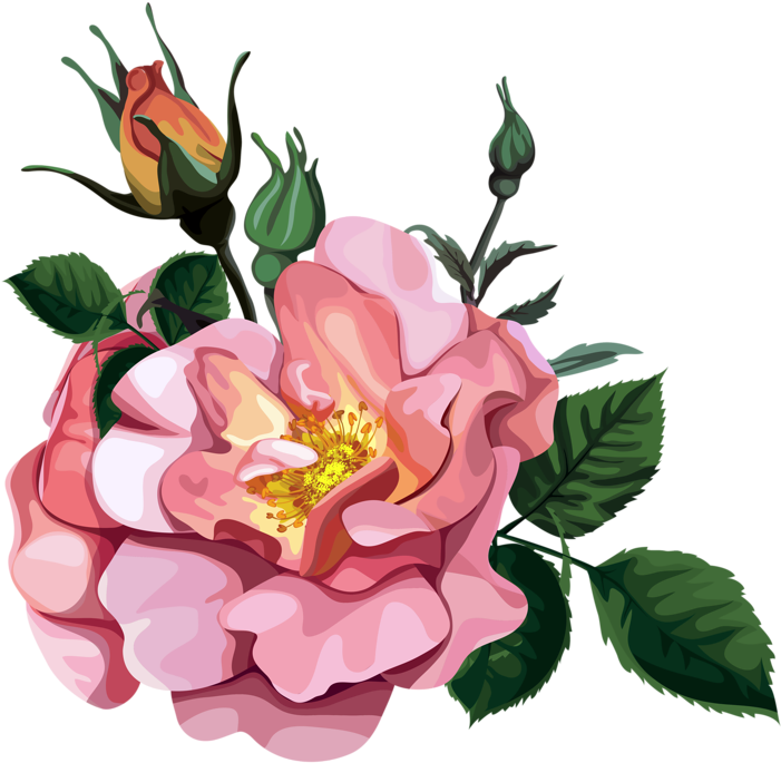 Rose Bouquet Clipart Transparent Design Patterns Studio - Software Design Pattern (774x800)