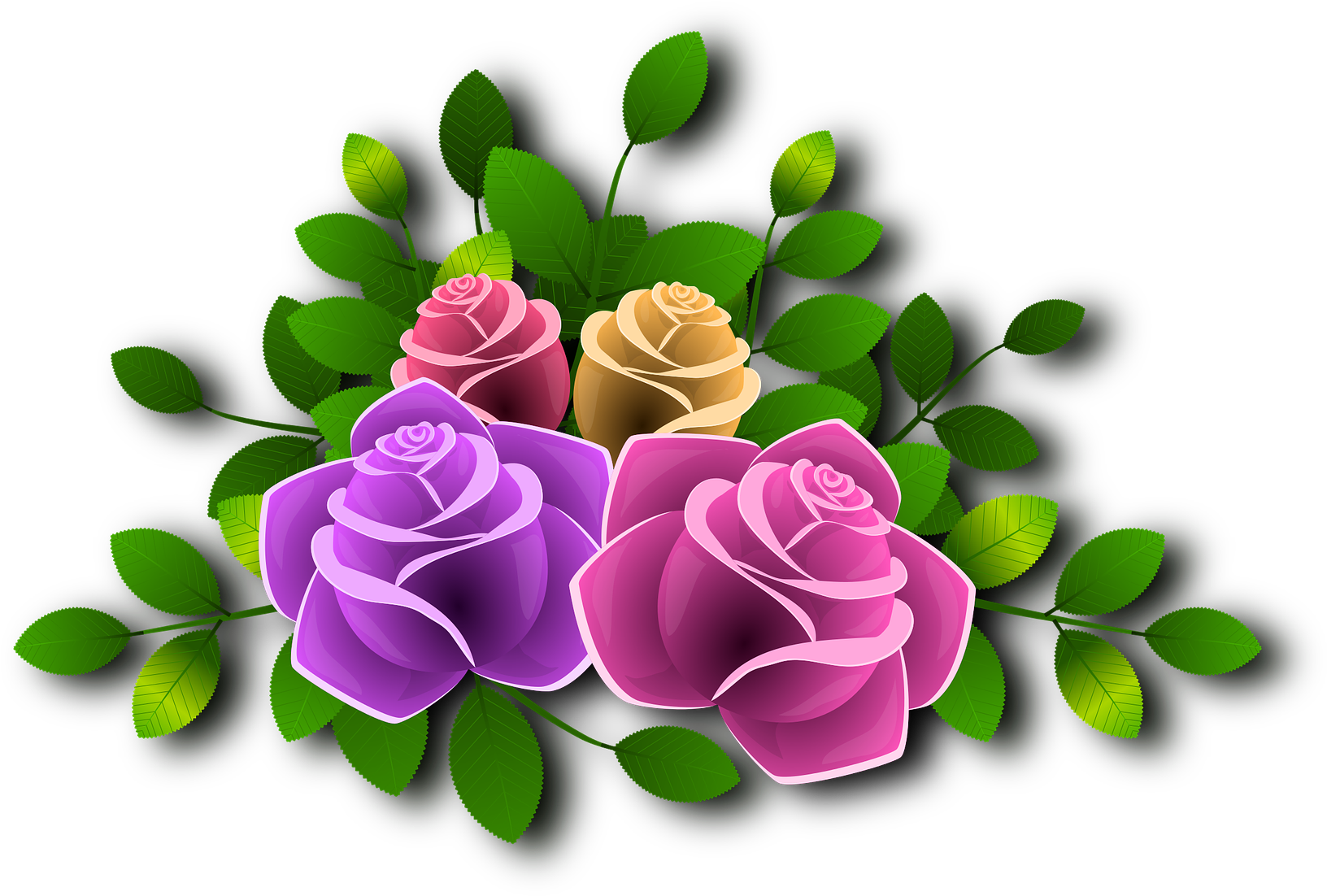 Roses - Flower (1920x1408)