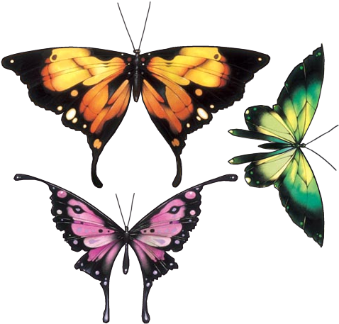 Бабочки Клипарт - Painting (490x460)