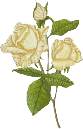 سجل/ي حضورك ب سكرابز/ باترنز - Floribunda (298x423)