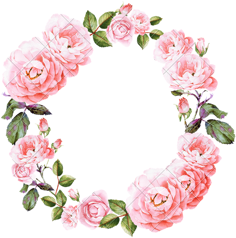 Wedding Invitation Flower Watercolor Painting Rose - Pink Roses Watercolor Wreath (800x800)