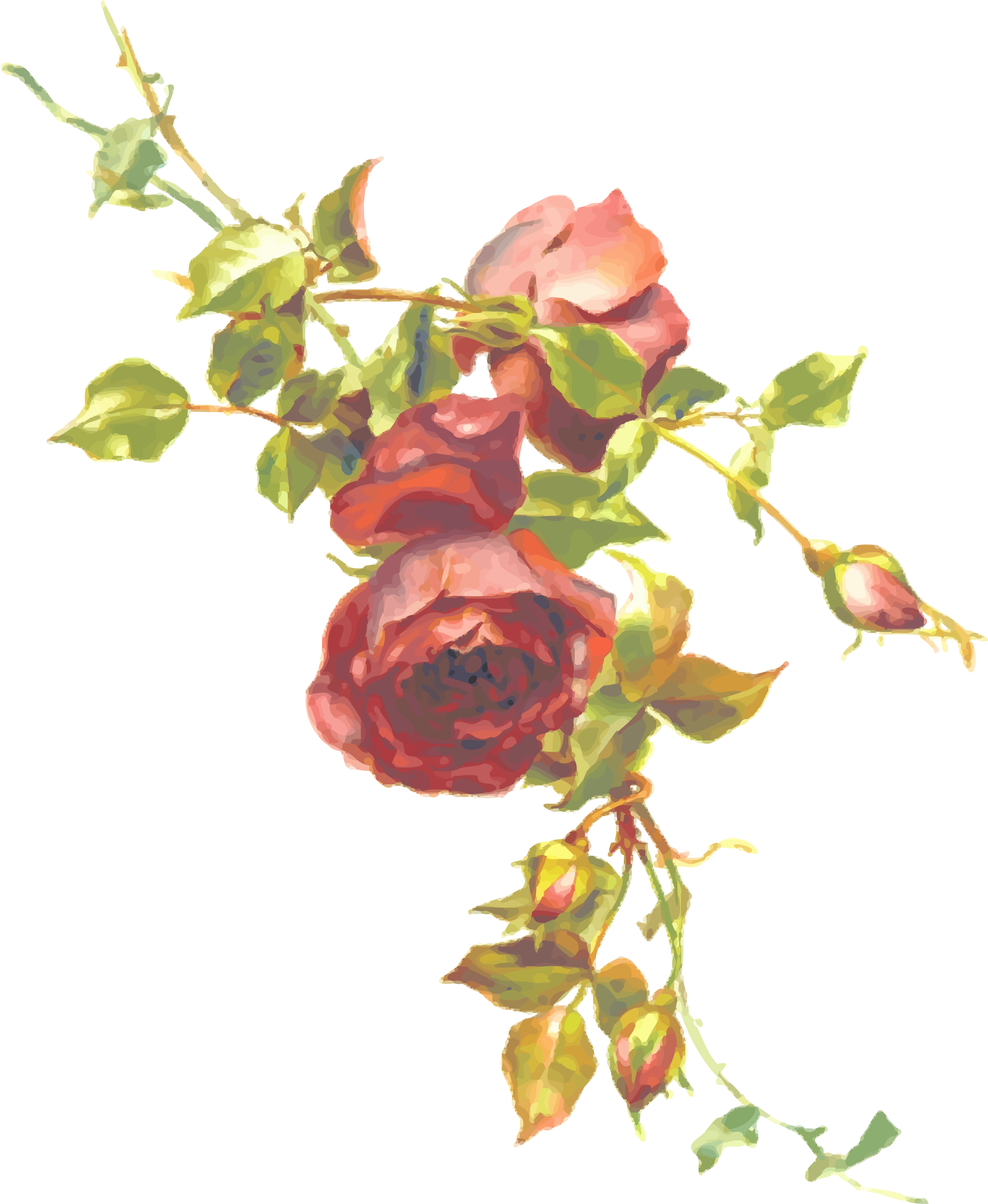 Big Image - Vintage Roses (2008x2400)