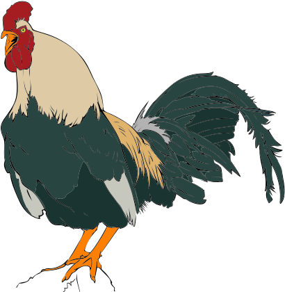 Rooster Clipart - Rooster Clip Art (428x444)