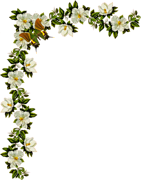 Transparent Background Clipart Flowers (480x635)