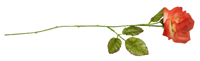Houseplant (639x196)