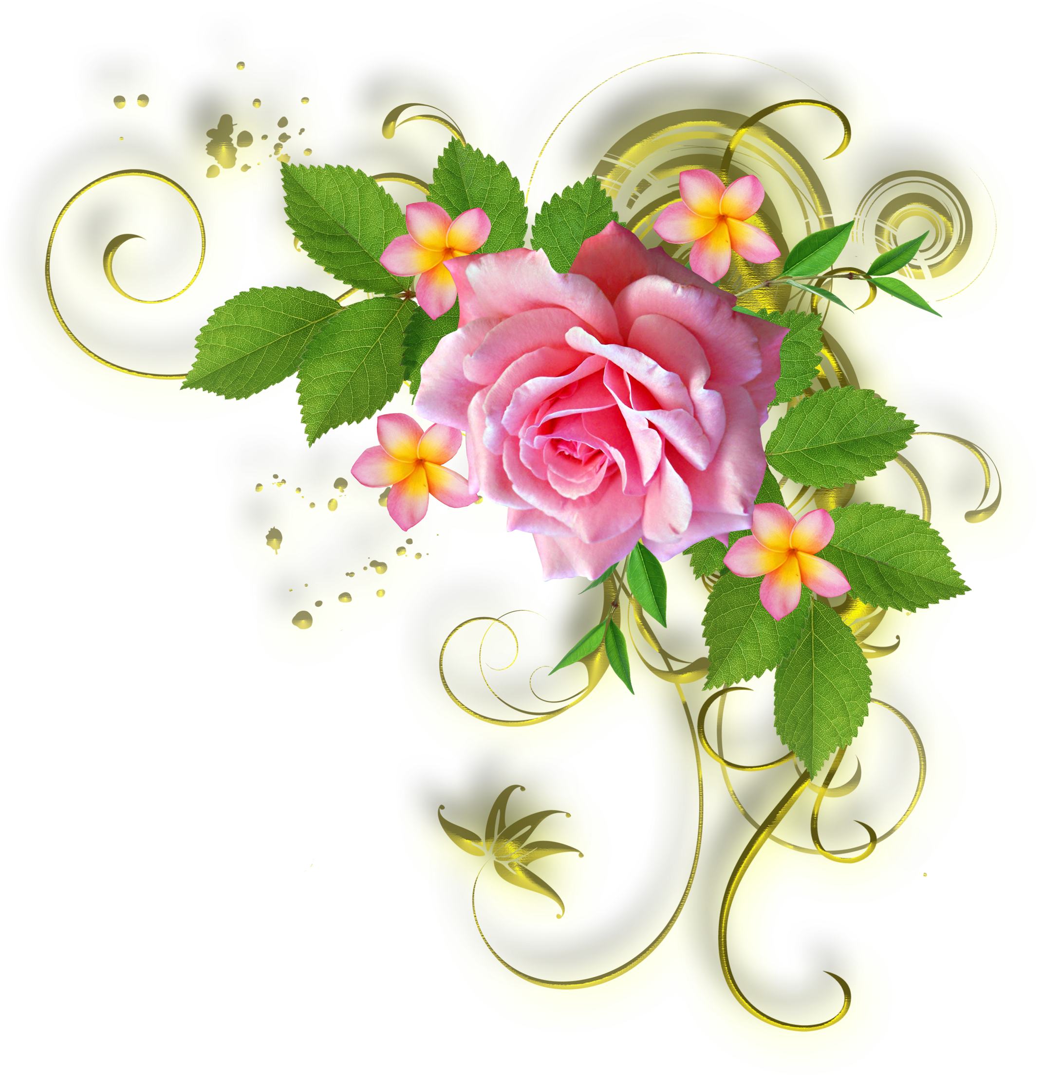 Цветочные Уголки - Yellow Rose Birthday Card (2142x2213)