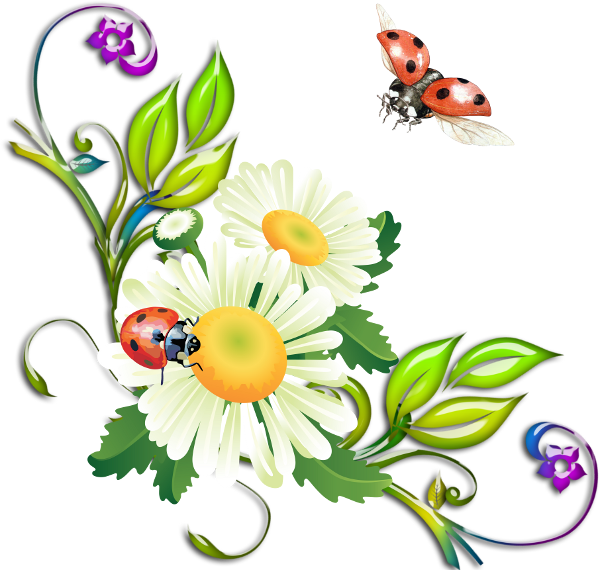 Цветочные Уголки На Прозрачном Фоне Для Вашего Творчества - Green Corner Flower Frame Gif (600x570)