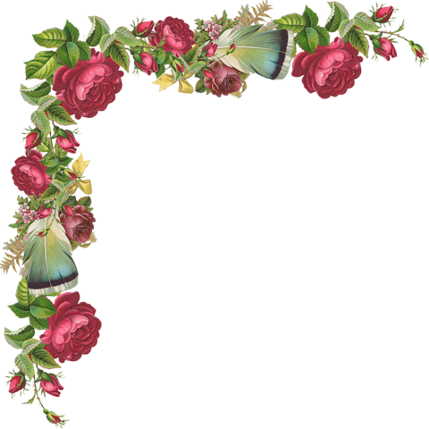 Цветочные Уголки На Прозрачном Фоне Для Вашего Творчества - Rose Flowers Border Corner (480x480)