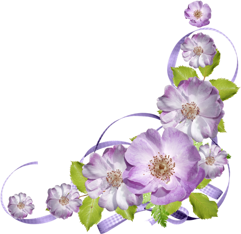 มุม กรอบ สวย ๆ ดอกไม้ (800x800)