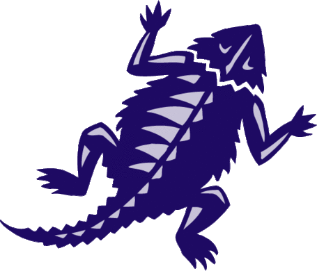 2661 Medium - Tcu Frog (455x390)