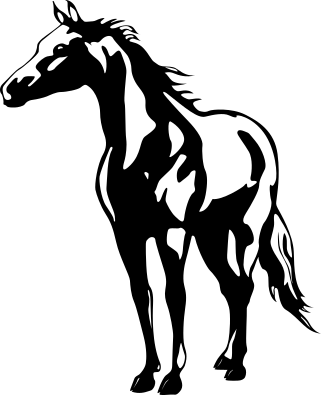 Horse - Aluckyhorseshoe Horse Decal Name Sticker Girls Bedroom (321x395)