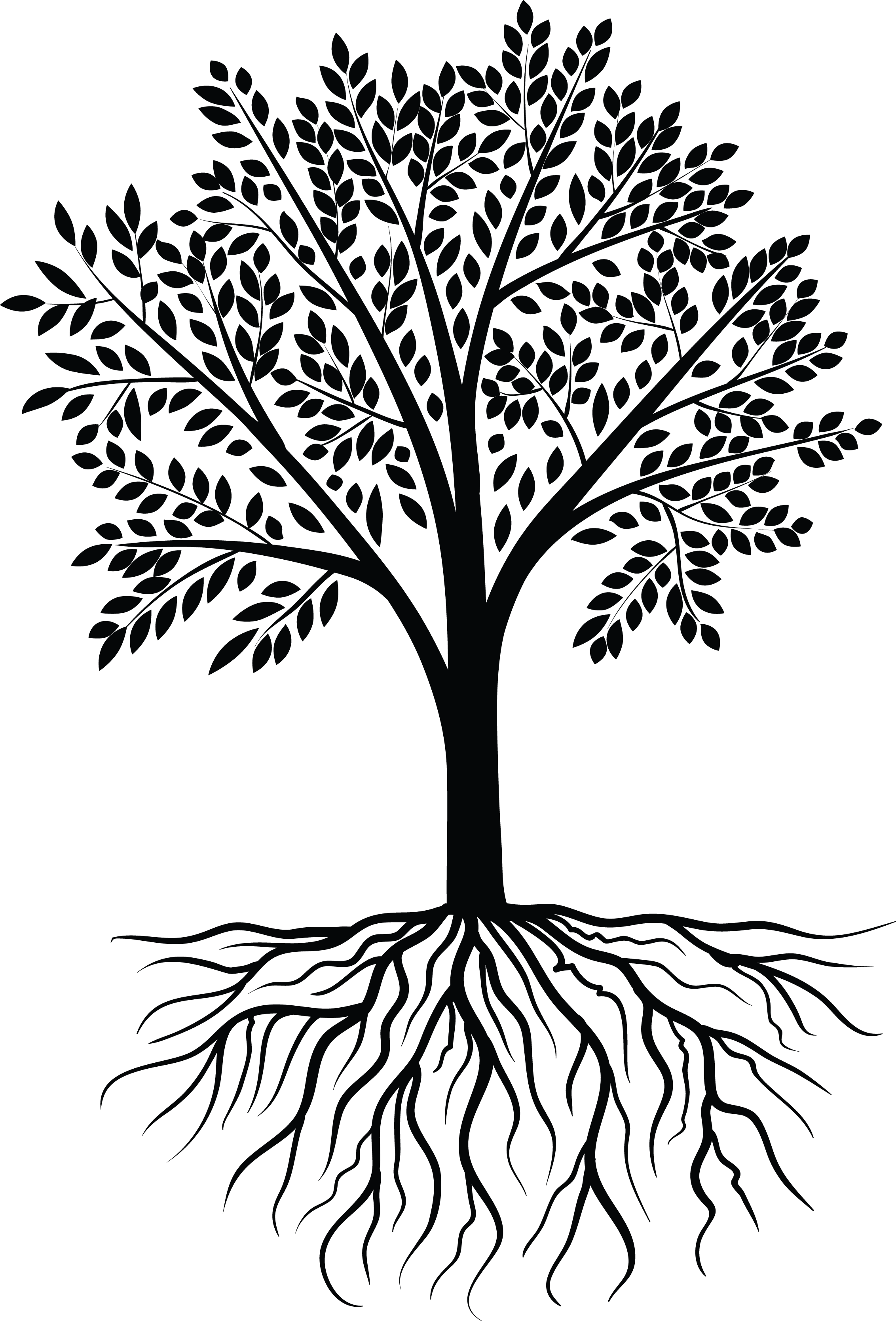 Tree Vector Black White - Tree Vector Black Png (2264x3335)