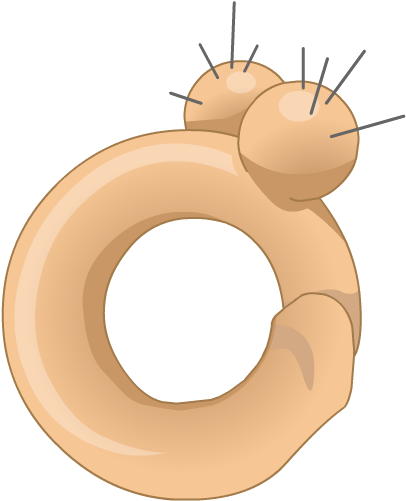 Ab'ho Ring - Snail (500x504)