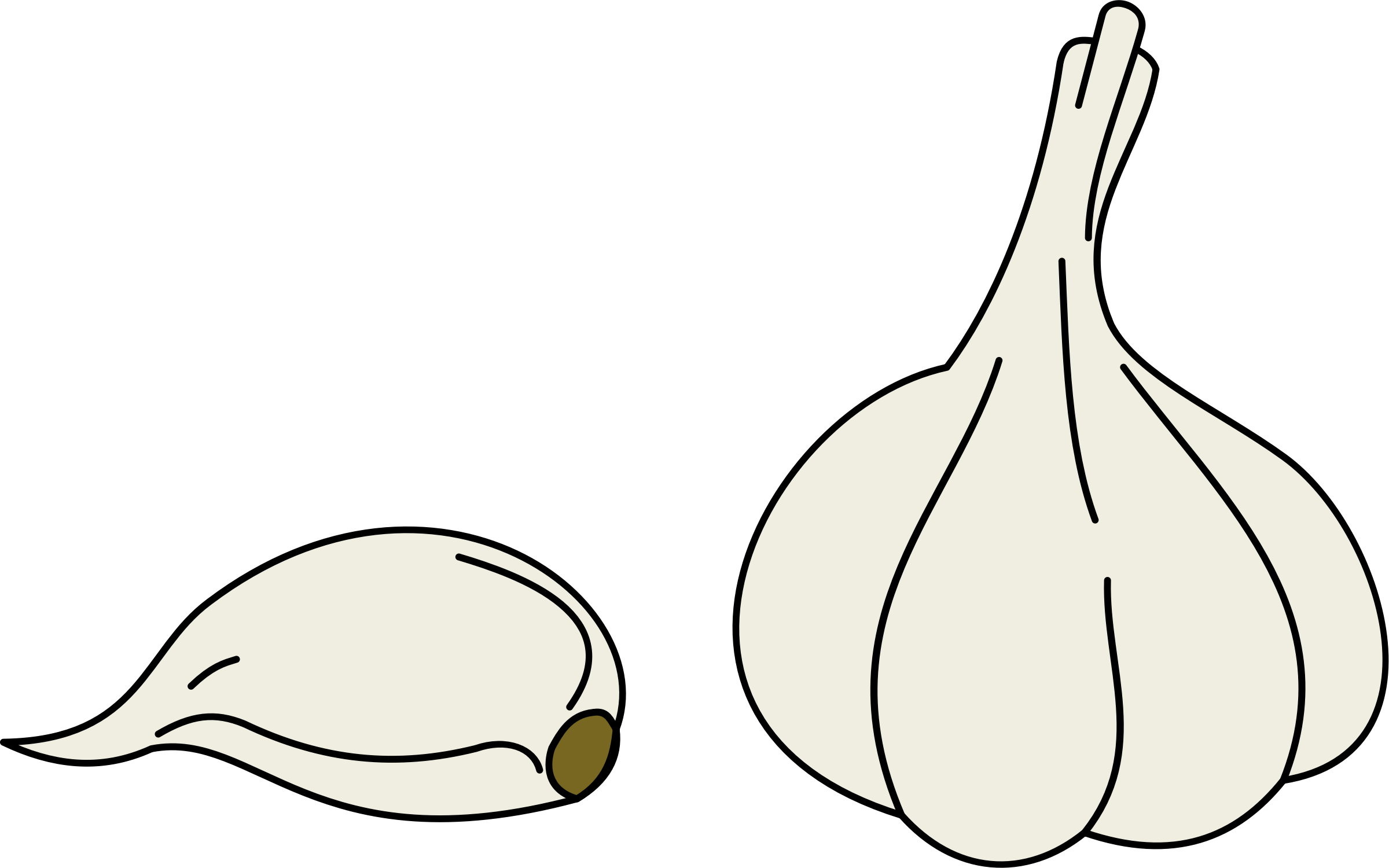 Big Image - Garlic Clipart (2400x1500)