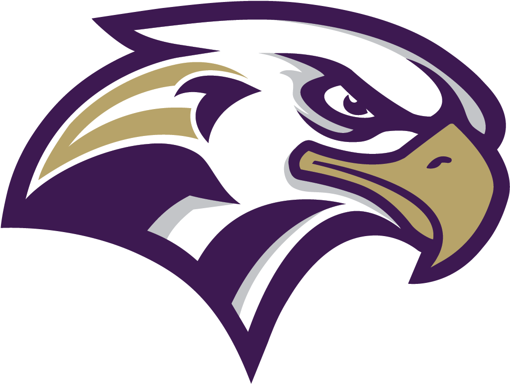 Shade - Eagle Illustration Png (1203x836)