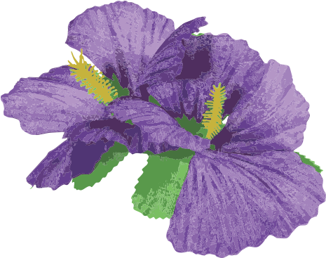 Contact - Sancto 2 Purple Hibiscus Flowers Hair Clips Accessory (470x402)