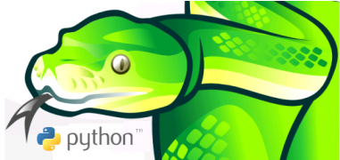 Python: The Ultimate Beginner's Guide! [book] (380x380)