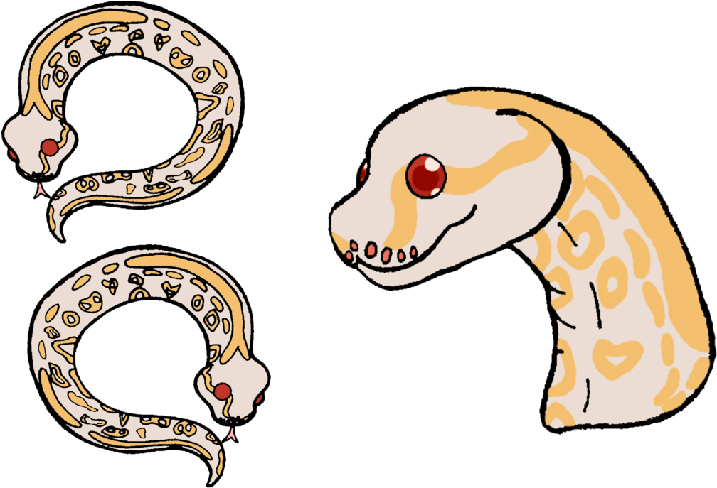 Nudge The Ball Python By Quillowbristles - Nudge The Ball Python By Quillowbristles (1024x691)