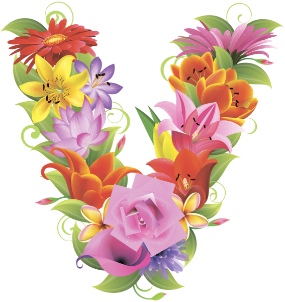 Английский Алфавит, Буква V, Цветочный Алфавит, Цветы, - Alphabet (567x600)