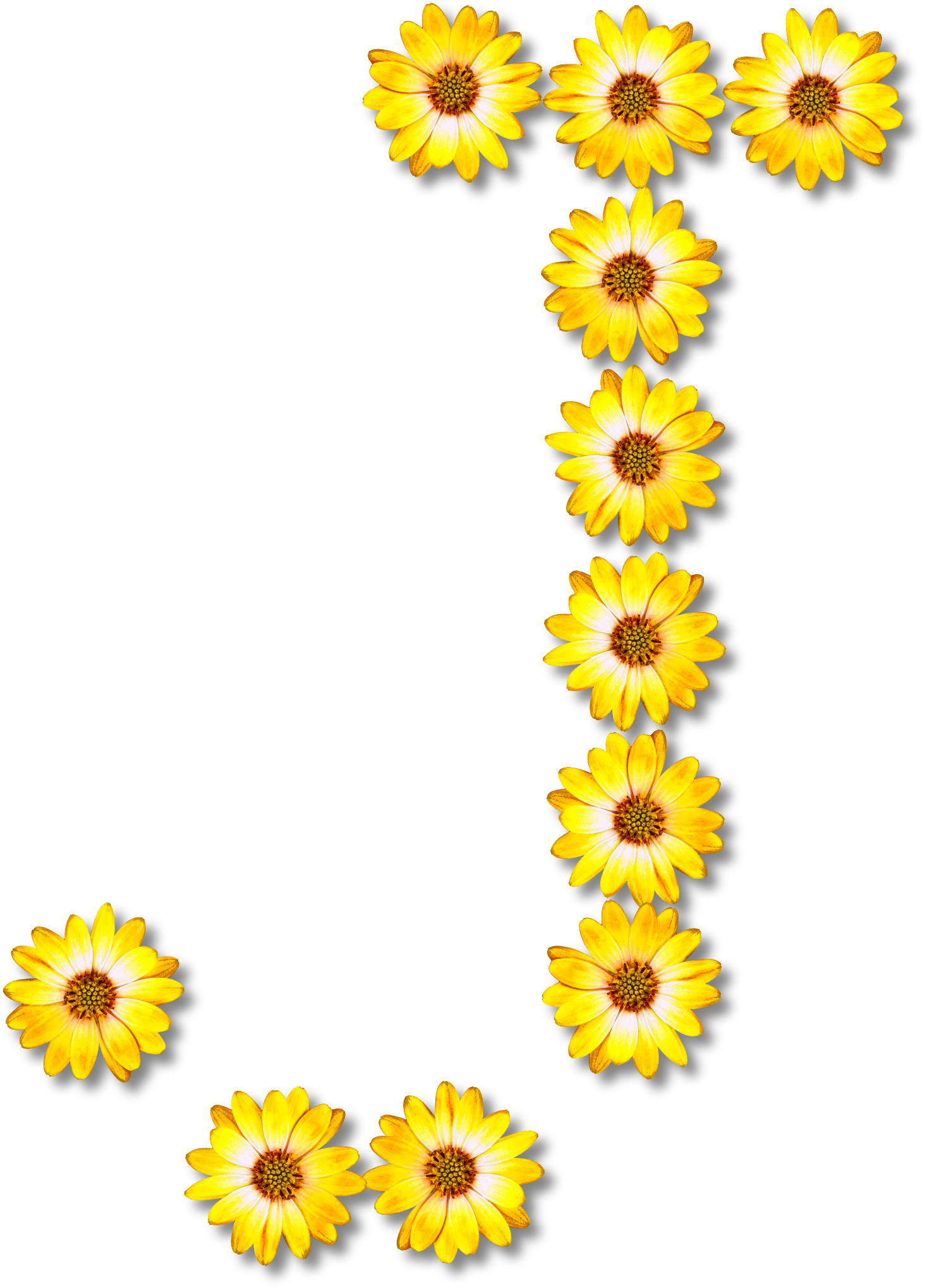 Big Image - Flower (1717x2400)