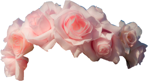 Flower Crown Transparent Background (500x312)