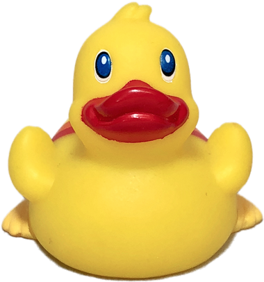 Rainbow Rubber Duck - Duck (500x500)